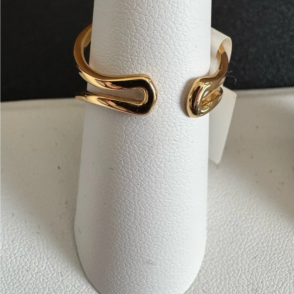 Park Lane Chic Gold-Tone Double Circle Crystal Ring. Great Pointer Finger Look!! - Picture 5 of 6